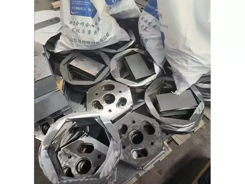 Roestvrijstalen lasersnijdende metalen onderdelen